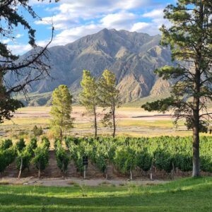 Mendoza / Aéreo Cor